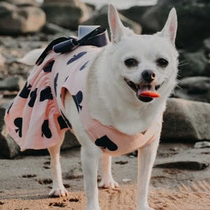 Meet your Posher, Sabel